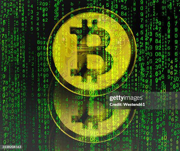 bitcoin cryptocurrency concept with matrix code and digital reflection - bitcoin stock illustrations