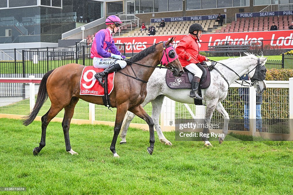 Wayed Ben Allen returns to the mounting yard on Wayed In Light after... News ...