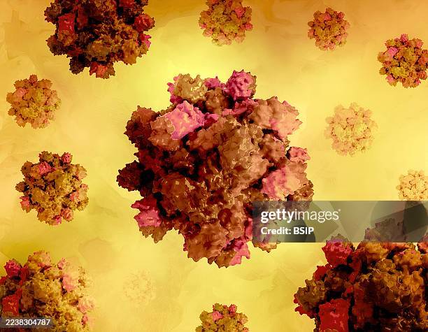 Creative layout featuring microscopy-derived 3D renderings of the hepatitis E virus capsid.