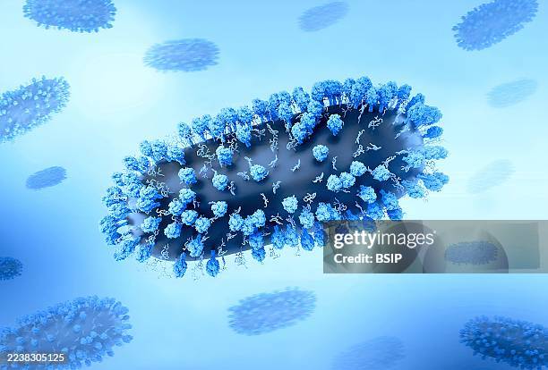 Creative layout featuring 3D renderings of respiratory syncytial virus , a common contagious virus that infects the human respiratory tract. 2023 :...
