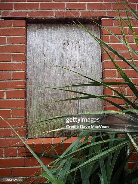 boarded window behind palm - fibonacci building stock pictures, royalty-free photos & images