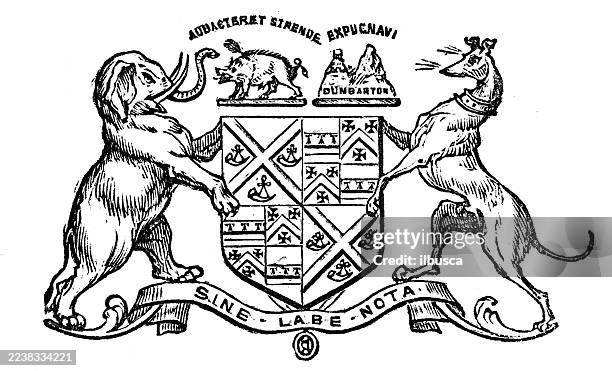 illustrazioni stock, clip art, cartoni animati e icone di tendenza di stemma araldico: sir hew crawford pollok - scrittura latina