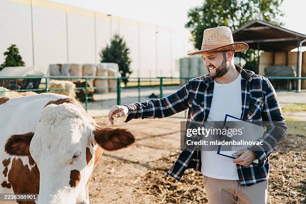 farmer petting cow on a farm with clipboard - animal welfare stock pictures, royalty-free photos & images