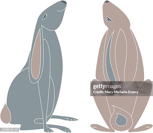 hares - hare isolated stock illustrations