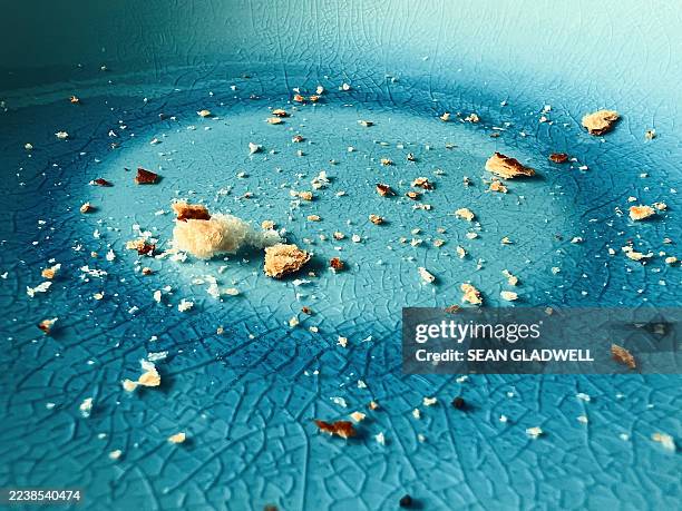 bread crumbs - pan rallado fotografías e imágenes de stock