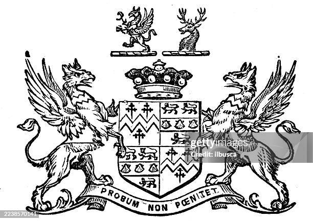 heraldry coat of arms emblem: baron sandys - bermuda stock illustrations