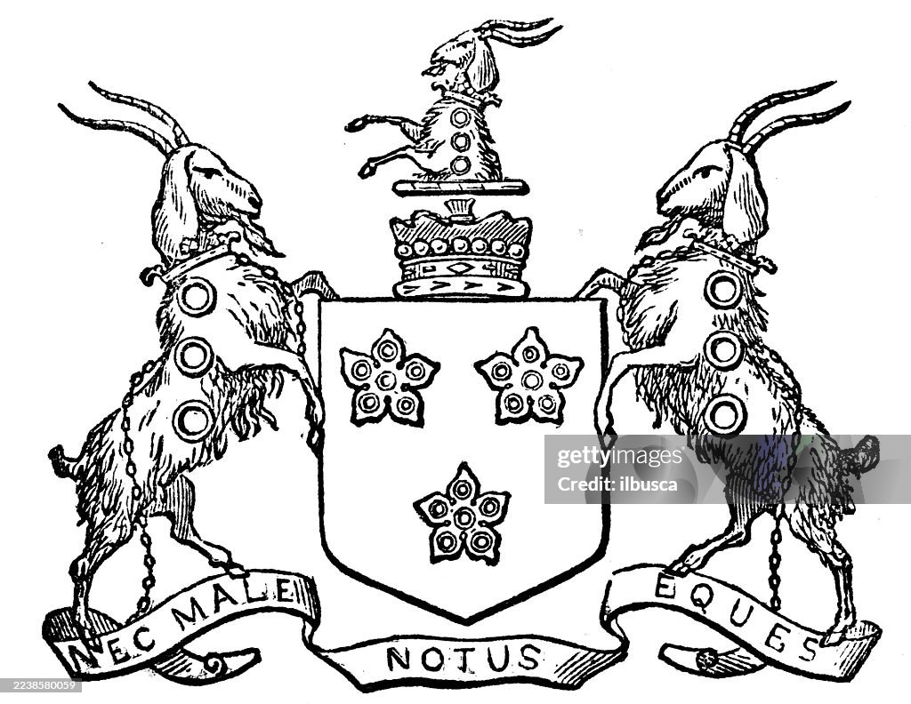 Heraldry coat of arms emblem: Viscount Southwell