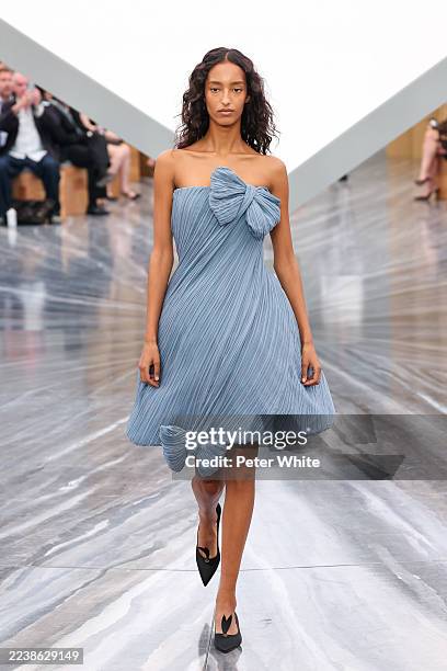 Model walks the runway during the Christian Dior Womenswear Spring/Summer 2026 show as part of Paris Fashion Week on October 01, 2025 in Paris,...