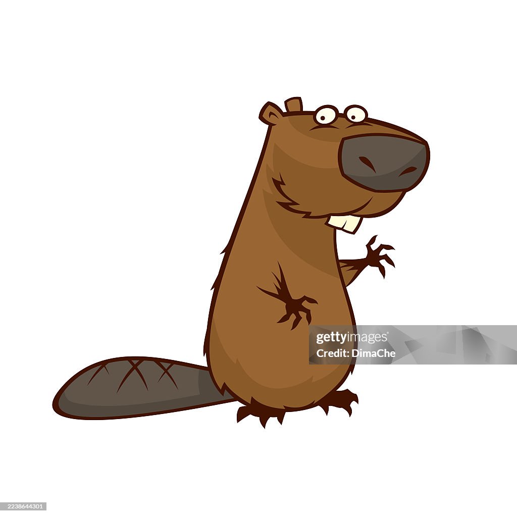 Cute beaver - cartoon beaver character mascot