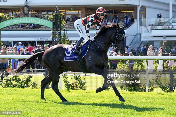 Danehill Stakes, News Photo