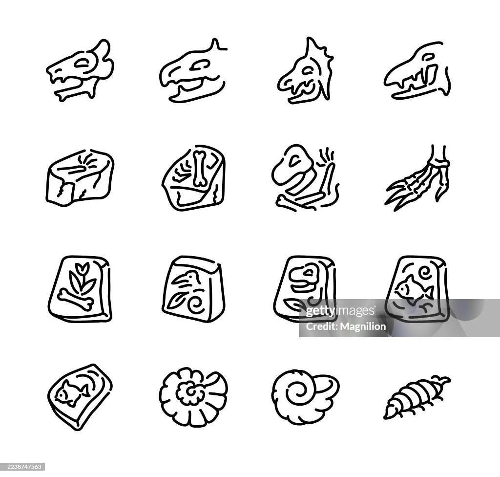 Dinosaur Fossil and Skeleton Elements, Extinct Animal Bones, Skulls, Claws, and Ammonite Shells, Line Vector Icons Set, Editable Stroke