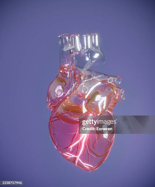 corazón humano transparente con vasos brillantes - ilustración biomédica fotografías e imágenes de stock
