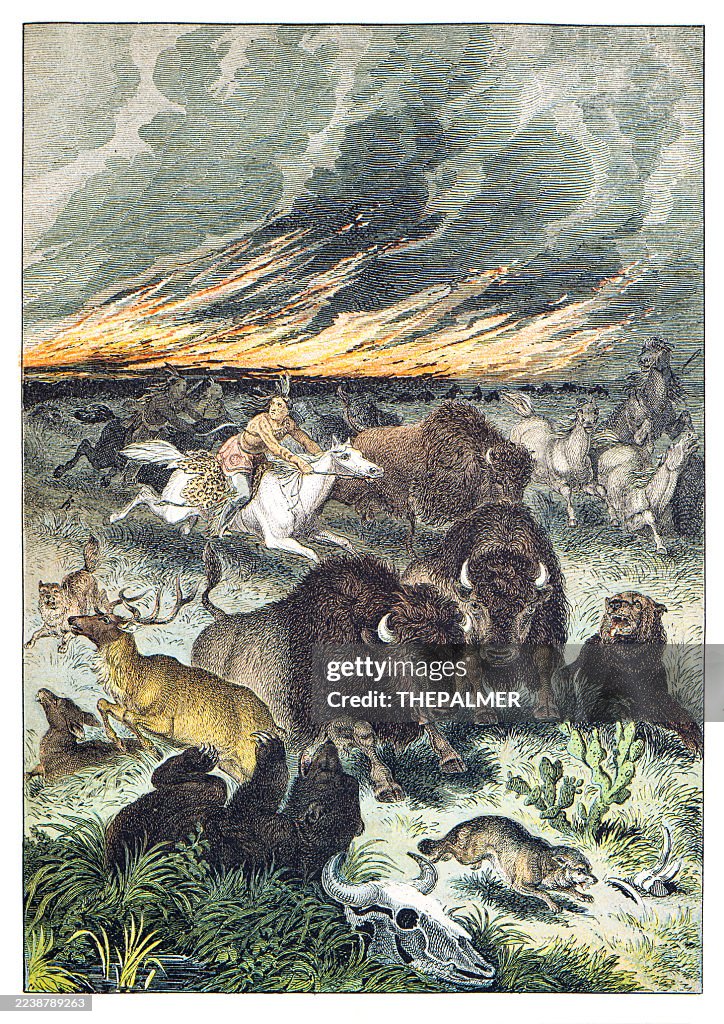 Amerikanische Indianer in Flammen: Bison, Fuchs, Schwarzbär, Hirsch, Pferde handkolorierte Gravur 1876