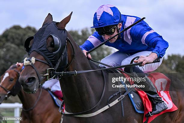 Julie Ridden 63 Julie Wilkinson Stock Photos, High-Res Pictures, and Images - Getty ...