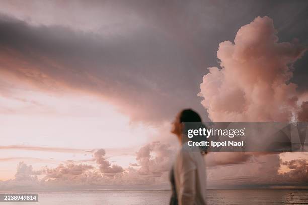 woman standing by ocean at sunset - escena de tranquilidad fotografías e imágenes de stock