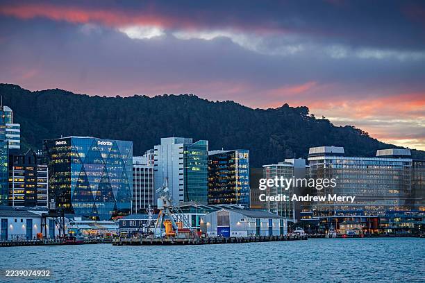 wellington city and harbour at sunset new zealand - new zealand city stock pictures, royalty-free photos & images
