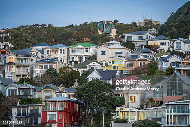houses on hill at dusk wellington new zealand - new zealand city stock pictures, royalty-free photos & images