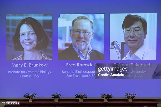 Announcement of the Nobel Prize in Physiology or Medicine 2025 awarded by the Nobel Assembly to scientists Mary E. Brunkow , Fred Ramsdell and Shimon...