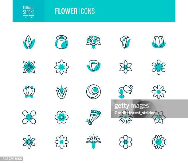 flower icon set editable stroke - daffodils bunch stock illustrations