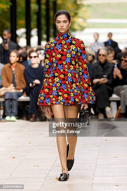 Celine: Runway - Paris Fashion Week - Womenswear Spring/Summer 2026, News Photo
