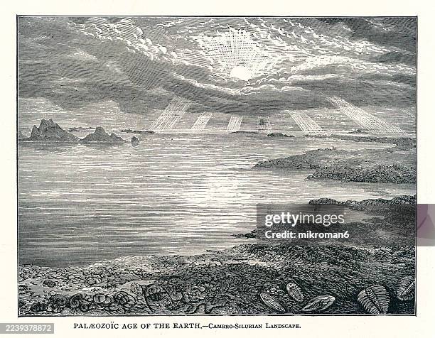 old engraved illustration of a cambro-silurian seascape with trilobites and rocky islets. sunbeams over water and scattered islets. - extinct stock pictures, royalty-free photos & images