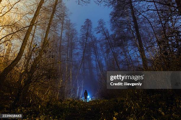silhouette of man in foggy forest - missing persons stock pictures, royalty-free photos & images