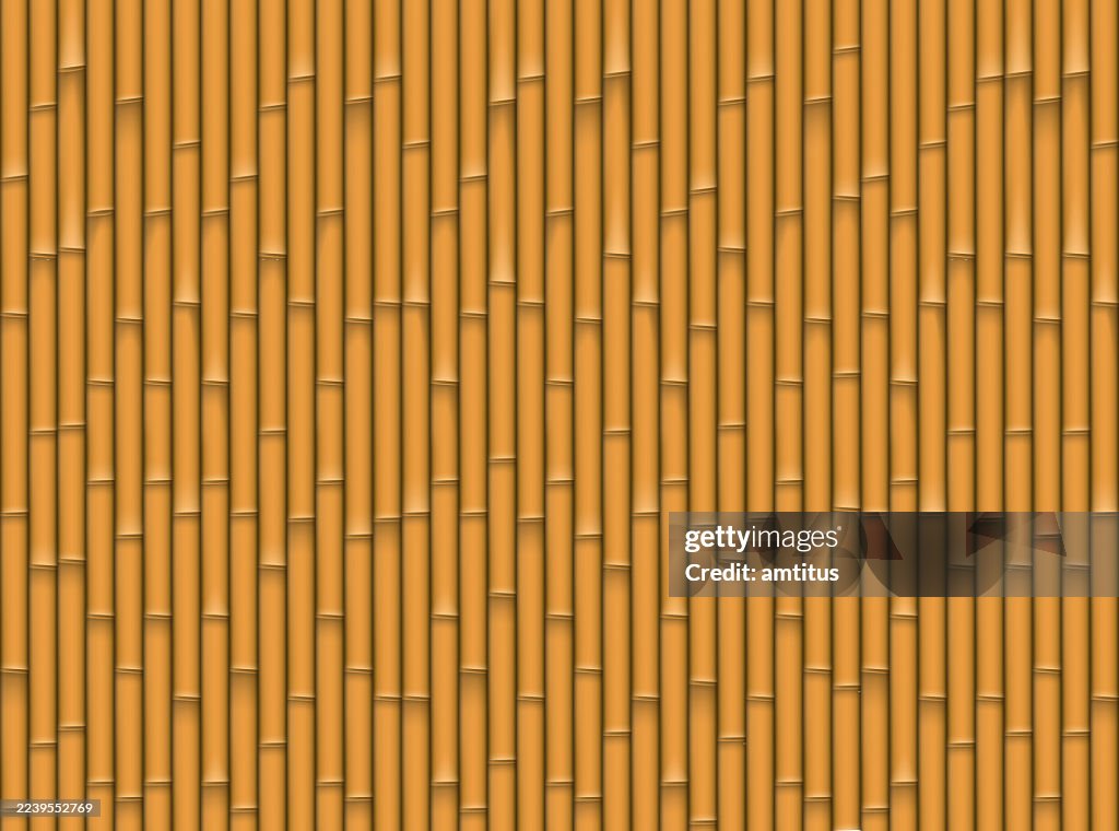 Bamboo pattern