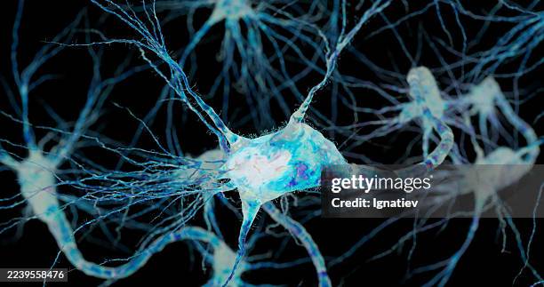 un seul neurone lumineux se connecte aux autres dans une carte cérébrale numérique teintée de bleu. - sclérose latérale amyotrophique photos et images de collection