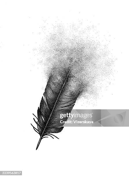 feathers disintegrating into dust, scan of hand drawing illustration at paper - sayings stock illustrations
