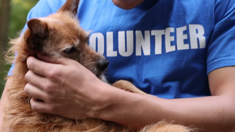 https://media.gettyimages.com/id/2239581391/video/volunteer-with-cute-stray-dog-outdoors-camera-moving-forwards.jpg?b=1&s=640x640&k=20&c=KmhEjBvYKb_UBnenjN5MPprRULj9DB9wnlWq3sLdhGY=