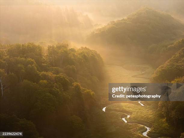 majestic misty morning valley bathed in golden light and sun beams - fantasy stock pictures, royalty-free photos & images