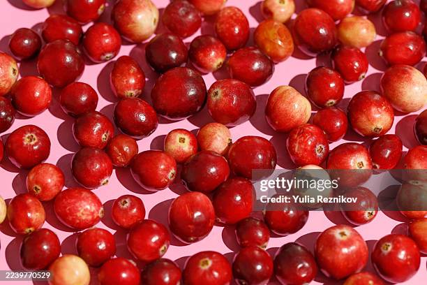 a macro close-up shot of cranberries - cranberry stock pictures, royalty-free photos & images
