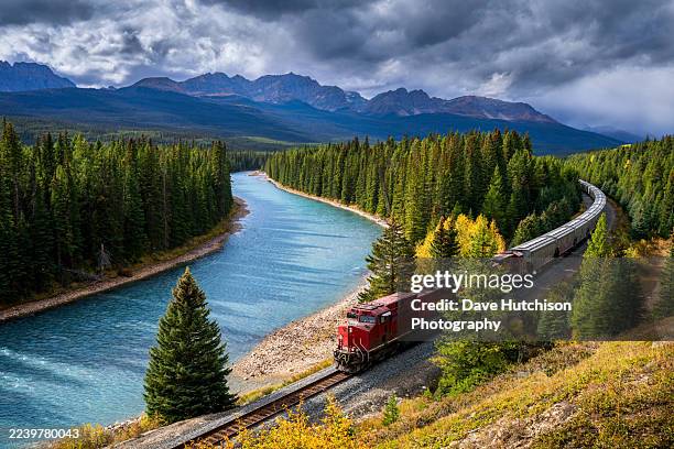 train du cn dans une courbe au belvédère de stone mountain, parc national de banff, lake louise, alberta, canada - alberta photos et images de collection