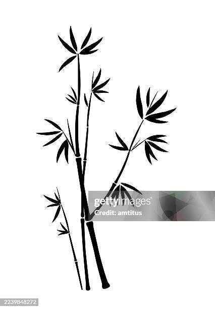 bamboos group - bamboo plant stock illustrations