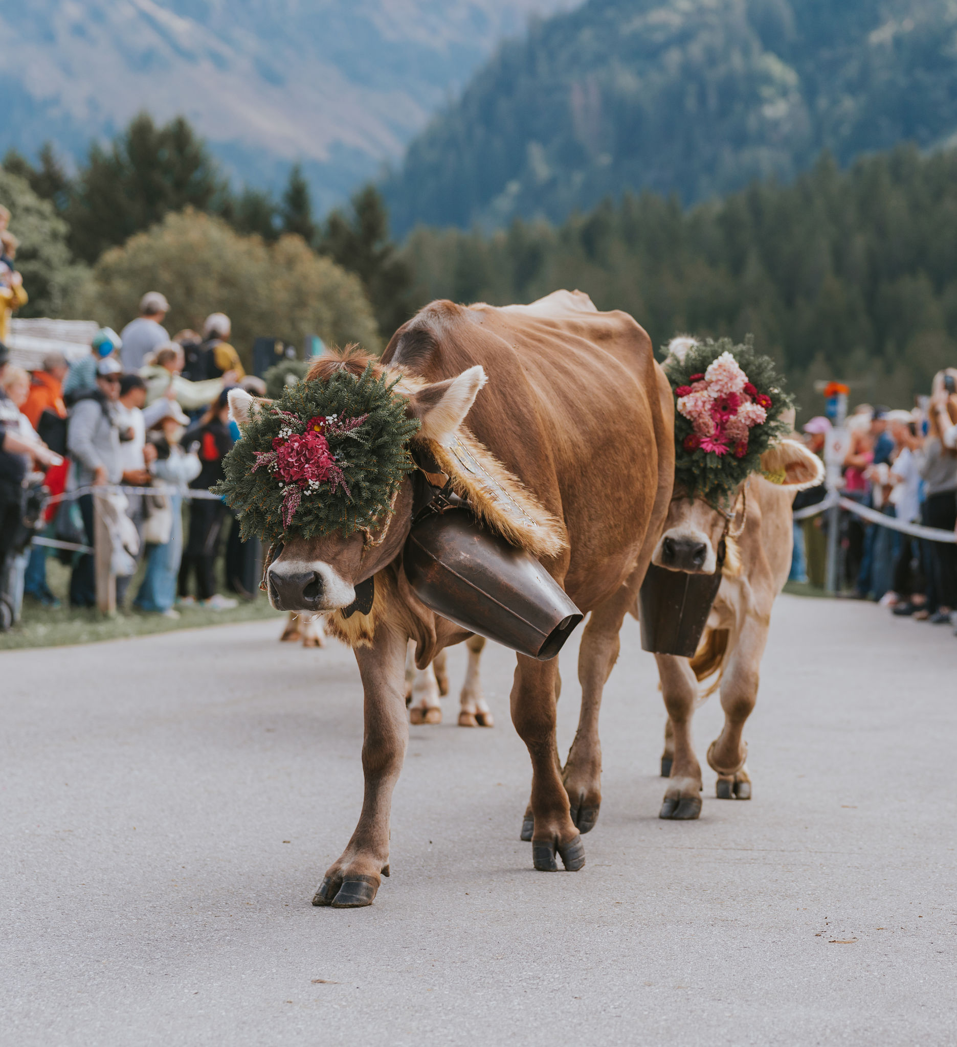 traditional swiss festival