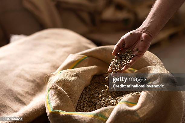 close-up of hand pouring coffee seeds into a burlap sack in a farm setting - coffee sack stock pictures, royalty-free photos & images