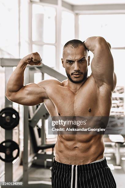 homme musclé fléchissant les biceps dans la salle de sport pendant l’entraînement, portrait de modèle de fitness - body building photos et images de collection