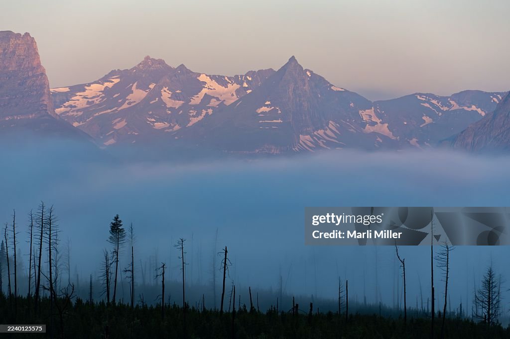 Morning fog and burned trees from the 2005 Red Eagle Fire, Glacier National Park, Montana. Fusillade Mountain is the spiky peak in the background