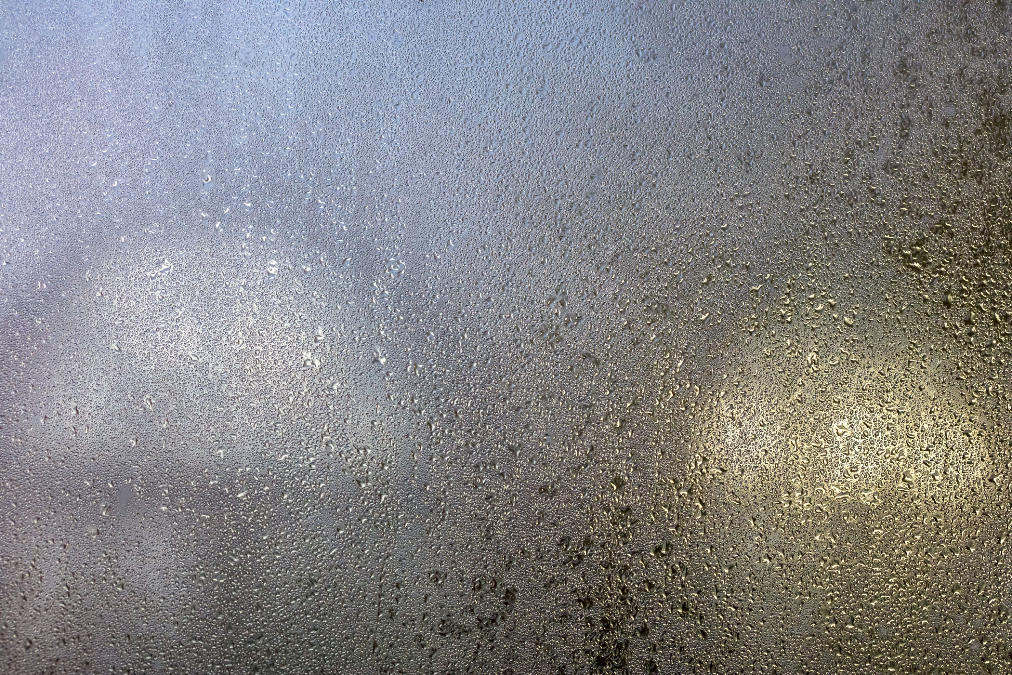 condensation windows