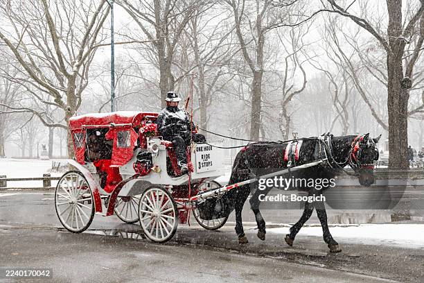 horse drawn carriage in central park on a snowy winter day - carriage stock pictures, royalty-free photos & images
