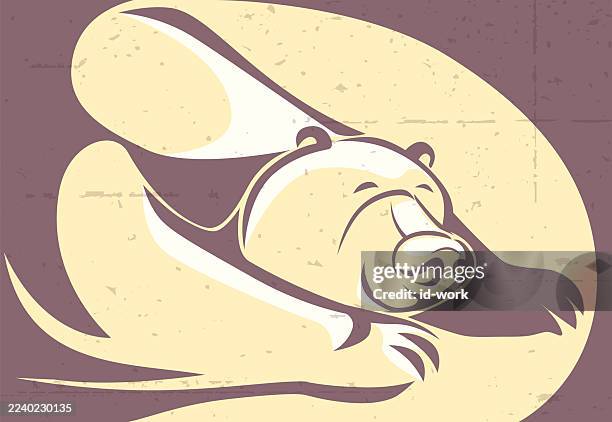 bear sleeping - hibernation stock illustrations