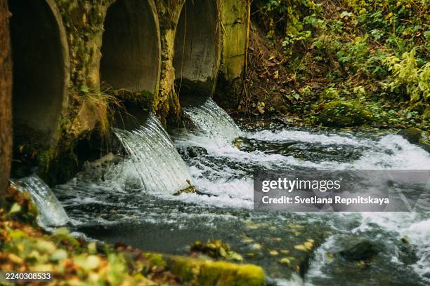 water flowing from concrete pipes into forest stream - wasserverschmutzung stock-fotos und bilder