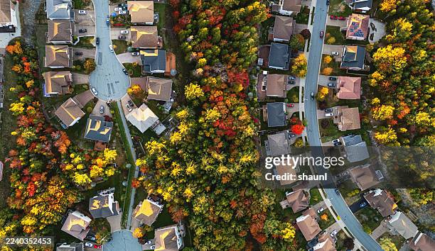 autumn suburb - subdivision stock pictures, royalty-free photos & images