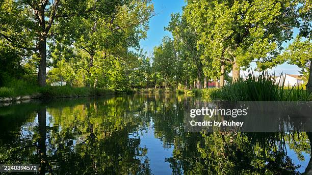 river channel surrounded by vegetation - castille et leon photos et images de collection