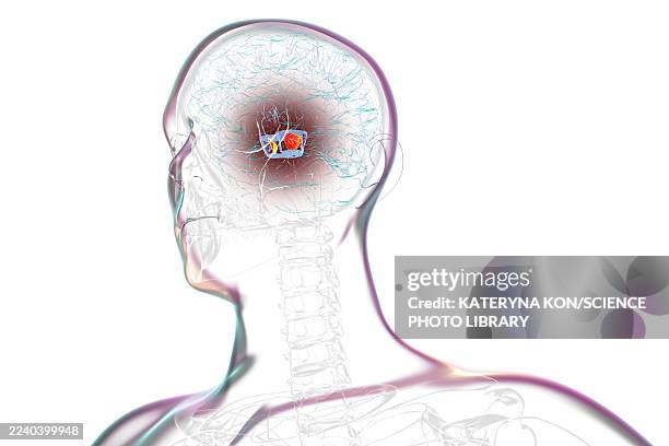 human brain with highlighted substantia nigra, illustration - active nerve cells stock illustrations