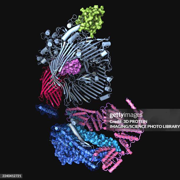type 9 secretion system extended translocon, illustration - electron microscope stock illustrations