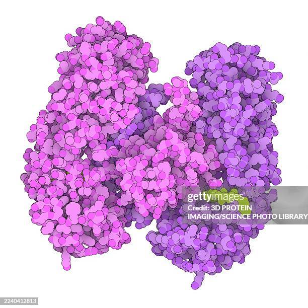 diphtheria toxin dimer complexed with nad, illustration - corynebacterium diphtheriae stock illustrations