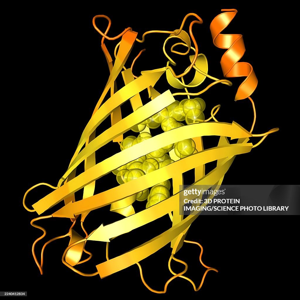 Green fluorescent protein variant GFP5, illustration