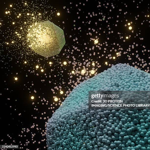 illustrations, cliparts, dessins animés et icônes de nanoparticle content release, illustration - nanoparticule