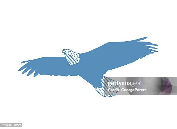 bald eagle in flight, cut out - bald eagle stock illustrations